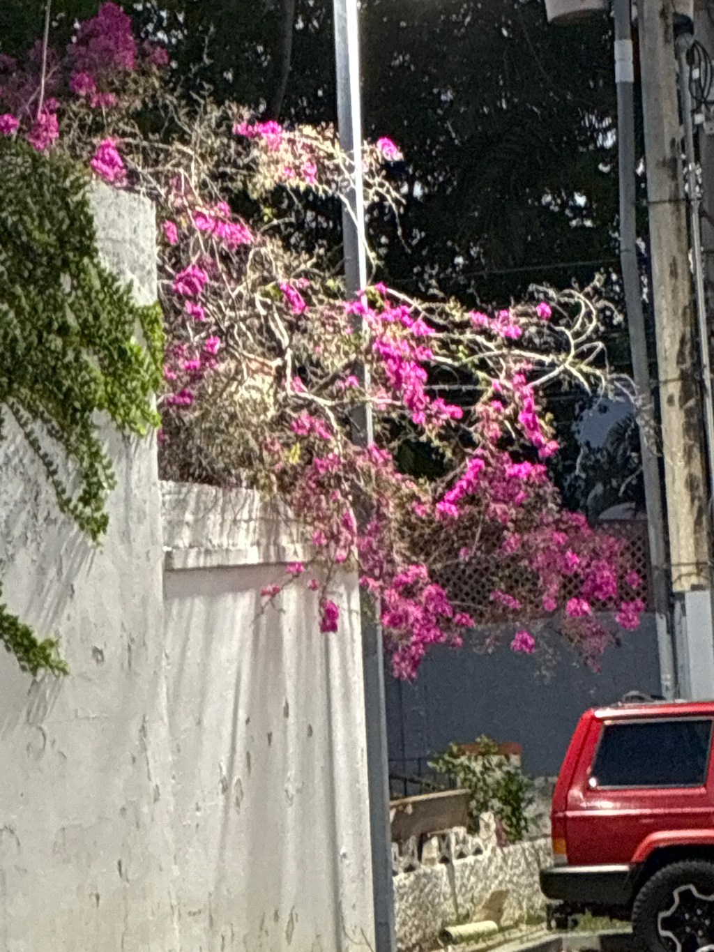 This Might Be Where My Search for LALATOWN&nbsp;Ends